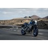 Escape completo Akrapovič YAMAHA MT-09 - 12452