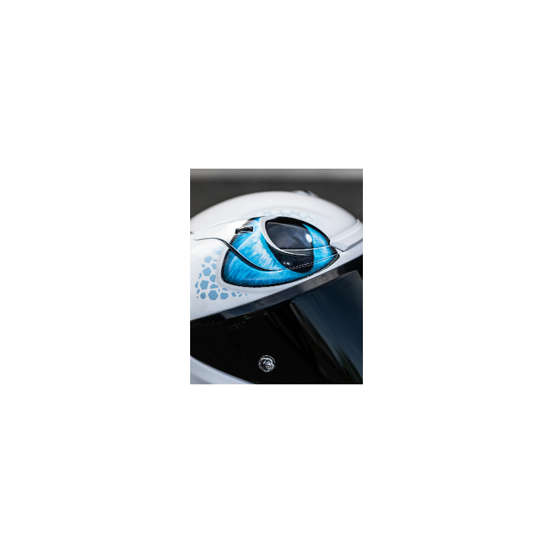 Casco HJC RPHA12 LIGHT FURY mc2